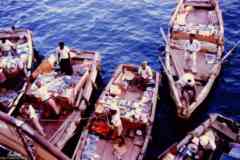 ���� ������ ��� ��� ����